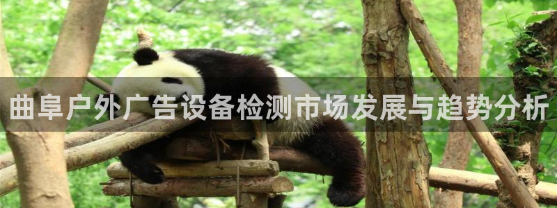 杏宇平台官网注册：曲阜户外广告设备检测市场发展与趋势分析