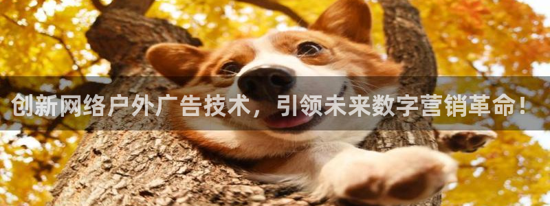 杏宇平台招商怎么样：创新网络户外广告技术，引领未来数字营销革命！