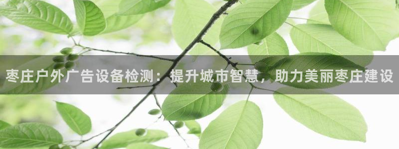 杏宇平台代理怎么样可靠吗：枣庄户外广告设备检测：提升城市智慧，助力美丽枣庄建设