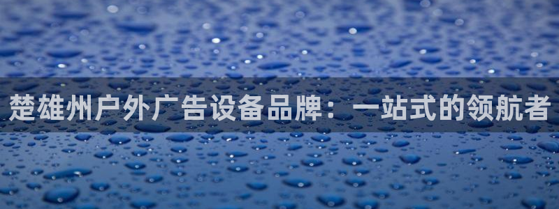 杏宇平台代理多少钱一个月：楚雄州户外广告设备品牌：一站式的领航者