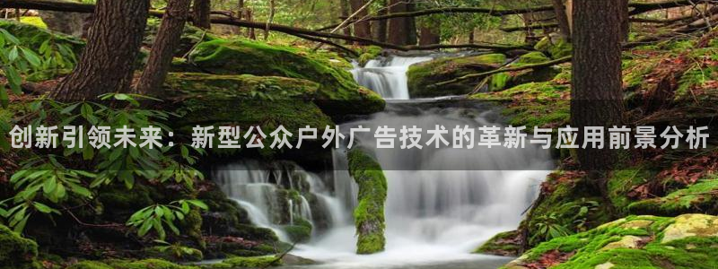 杏宇平台招商