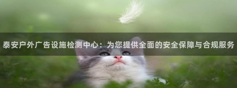 杏宇平台招商怎么样：泰安户外广告设施检测中心：为您提供全面的安全保障与合规服务