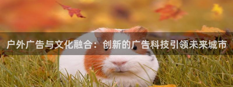 杏宇平台登陆：户外广告与文化融合：创新的广告科技引领未来城市