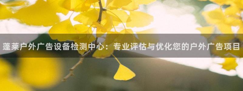 杏宇平台是什么：蓬莱户外广告设备检测中心