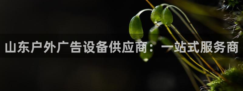 杏宇平台代理多少钱