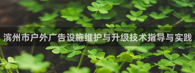 杏宇平台登陆