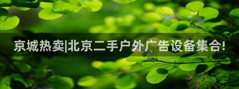 杏宇平台代理多少钱一个月：京城热卖|北京