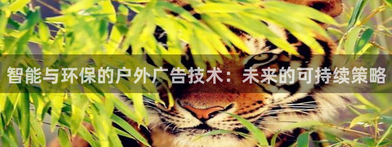 杏宇平台提现为什么这么久呢：智能与环保的户外广告技术：未来的可持续策略