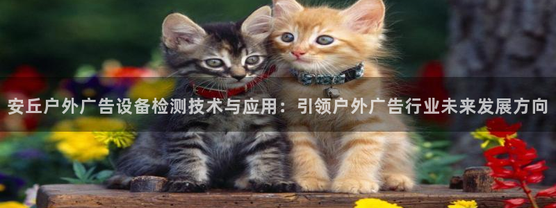 杏宇平台开户：安丘户外广告设备检测技术与