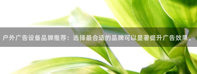 杏宇平台总代理