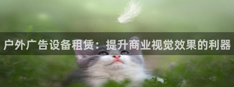 杏宇官方平台官网下载