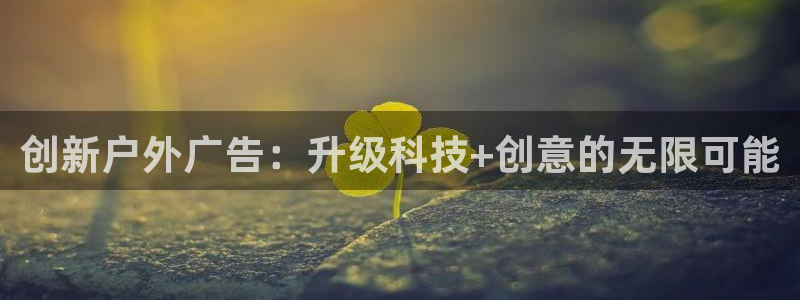 杏宇平台代理