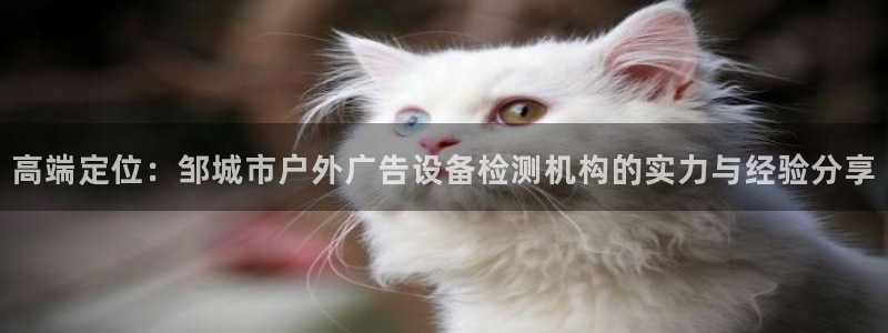 杏宇官方平台官网：高端定位：邹城市户外广