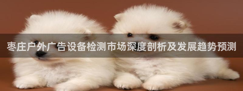 杏宇平台代理怎么赚钱的：枣庄户外广告设备检测市场深度剖析及发展趋势预测