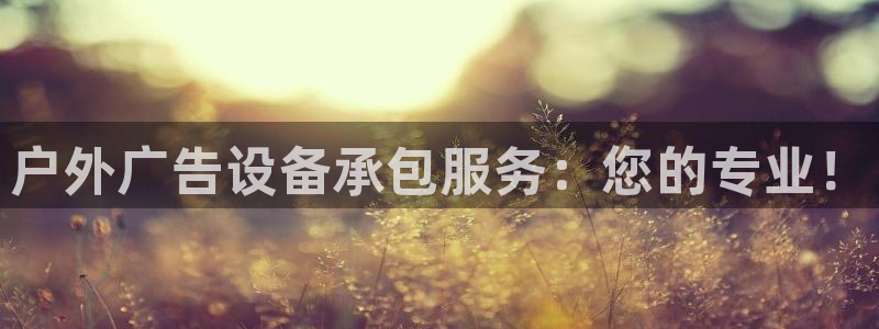 杏宇平台代理怎么赚钱的