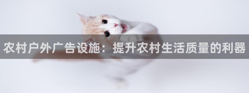 杏宇平台总代理：农村户外广告设施：提升农