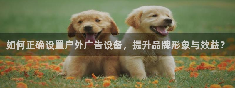 杏宇平台注册地址：如何正确设置户外广告设