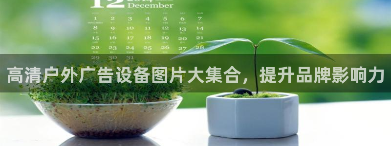 杏宇平台怎么样赚钱