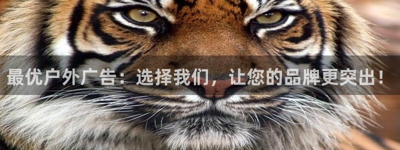 杏宇平台登录方法：最优户外广告：选择我们