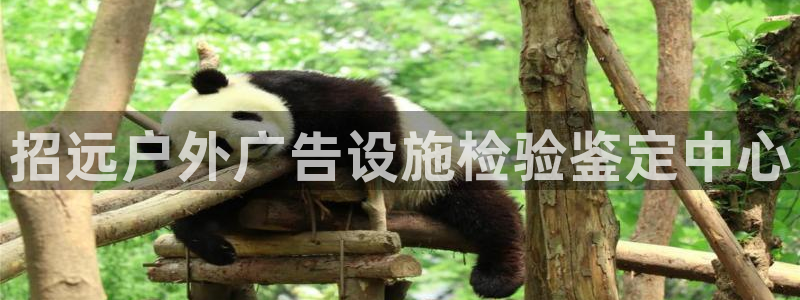 杏宇平台总代理：招远户外广告设施检验鉴定