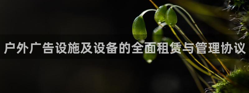 杏宇平台代理多少钱一次：户外广告设施及设备的全面租赁与管理协议