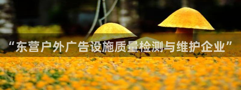 杏宇平台主管：“东营户外广告设施质量检测