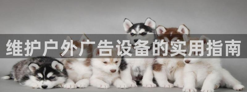 杏宇平台登录步骤