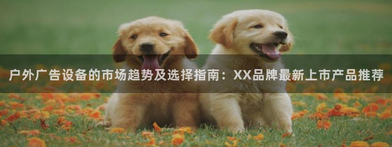 杏宇平台怎么样知乎